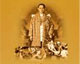 ในหลวง - King of Thailand
